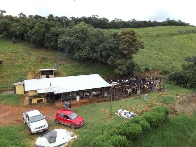 Fazenda venda em Região Geográfica Imediata de Barbacena, Antônio Carlos