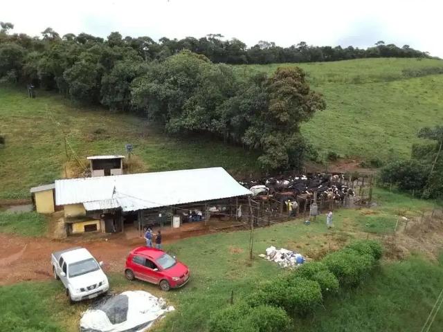 Fazenda venda em Região Geográfica Imediata de Alfenas, Alfenas