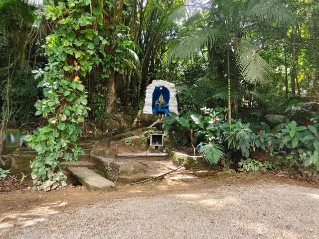 Sítio e chácara venda em Região Geográfica Imediata de Florianópolis, Antônio Carlos