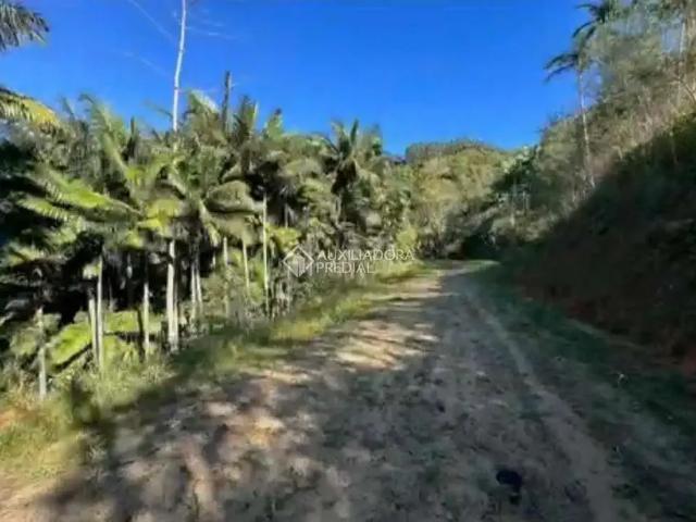 Fazenda venda em Região Geográfica Imediata de Florianópolis, Antônio Carlos