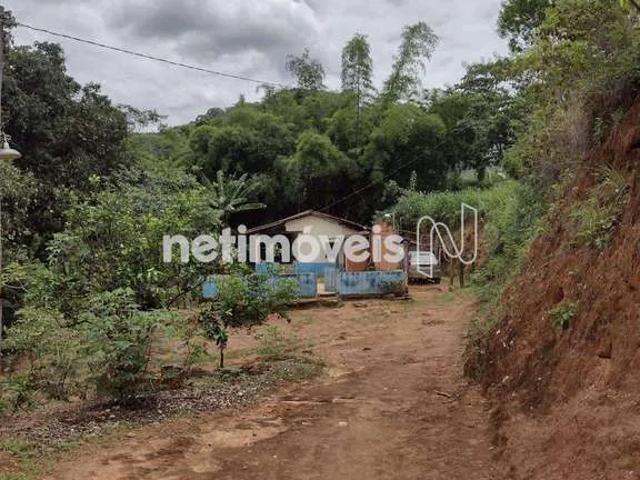 Fazenda venda em Antônio Dias, Região Geográfica Intermediária de Ipatinga