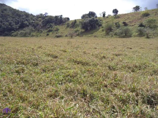 Fazenda venda em Região Geográfica Imediata de Ipatinga, Antônio Dias