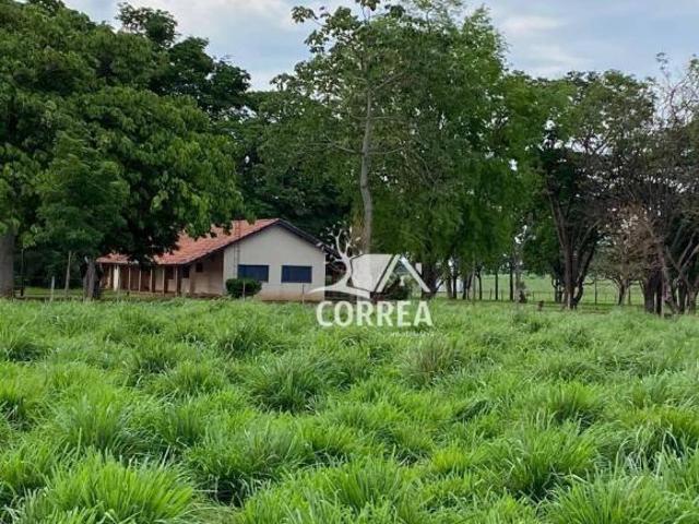 Sítio e chácara venda em Região Imediata de Guaratinguetá, Região Metropolitana do Vale do Paraíba e Litoral Norte