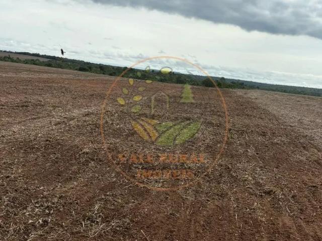 Fazenda venda em Região Geográfica Imediata de Goiânia, Aparecida de Goiânia