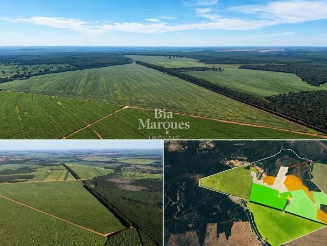 Fazenda venda em Aparecida do Taboado