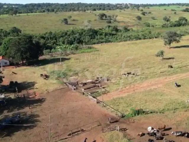 Fazenda venda em Região Geográfica Imediata de Paranaíba - Chapadão do Sul - Cassilândia, Aparecida do Taboado