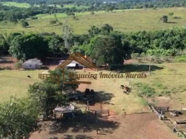 Fazenda venda em Região Geográfica Imediata de Paranaíba - Chapadão do Sul - Cassilândia, Aparecida do Taboado
