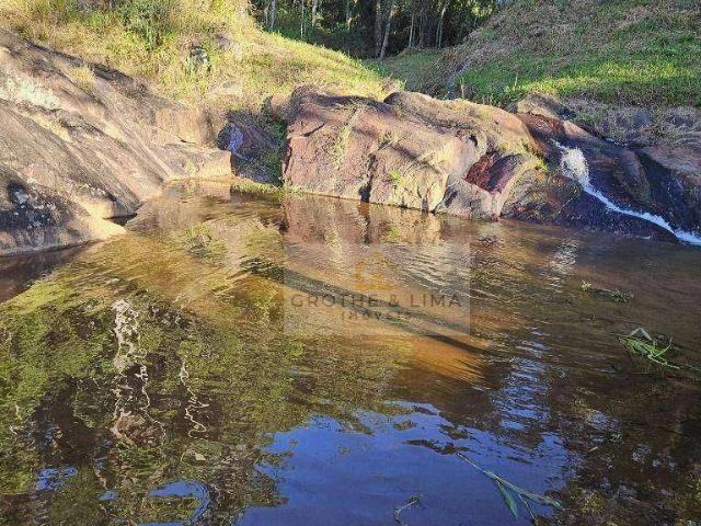 Fazenda venda em Vila Tambaú, Aparecida