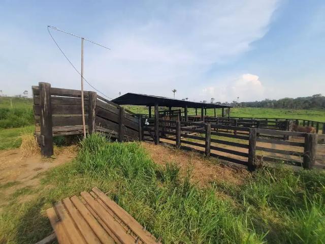 Fazenda venda em Região Geográfica Imediata de Alta Floresta, Apiacas
