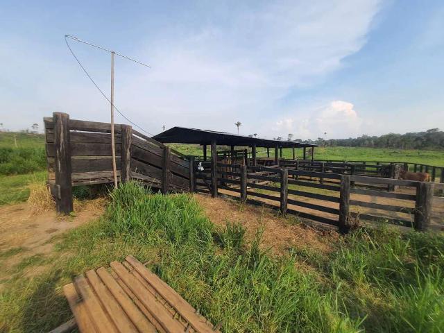 Fazenda venda em Apiacás, Região Geográfica Intermediária de Sinop