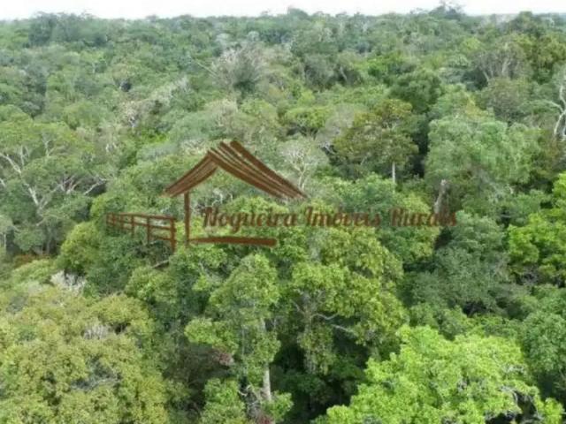 Fazenda venda em Região Imediata de Itapeva, Apiaí