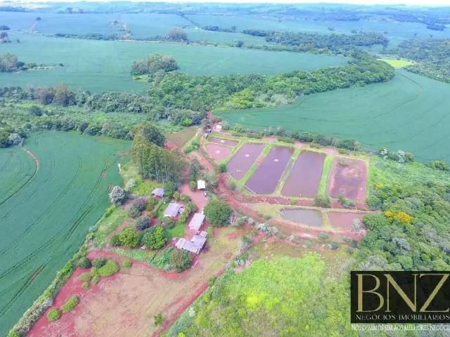 Fazenda venda em Região Geográfica Imediata de Apucarana, Apucarana