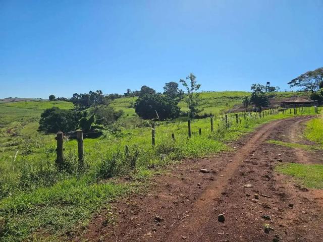 Fazenda venda em Região Geográfica Imediata de Apucarana, Apucarana