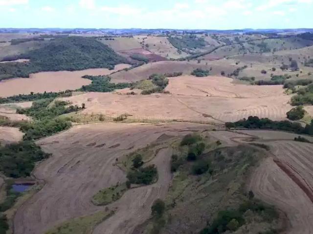 Fazenda venda em Região Geográfica Imediata de Apucarana, Apucarana