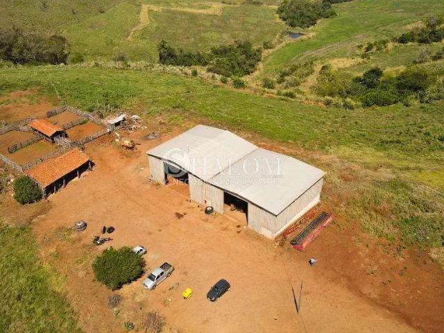 Fazenda venda em Região Geográfica Imediata de Apucarana, Apucarana