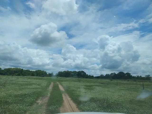Fazenda venda em Região Geográfica Imediata de Campo Grande, Campo Grande