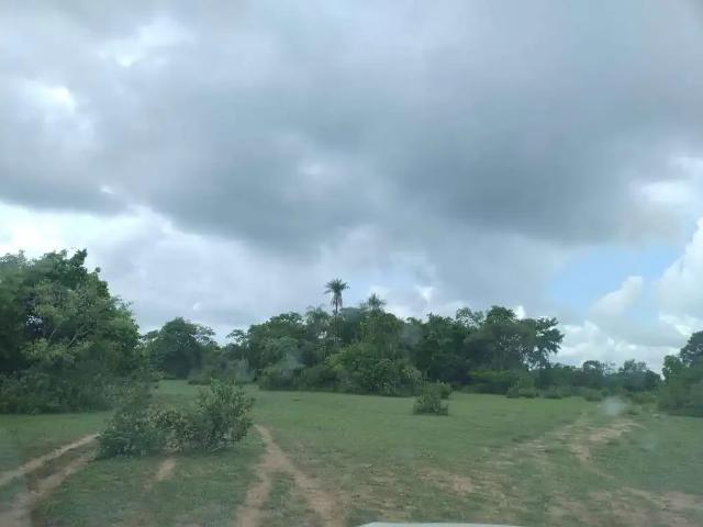 Fazenda venda em Região Geográfica Imediata de Campo Grande, Campo Grande