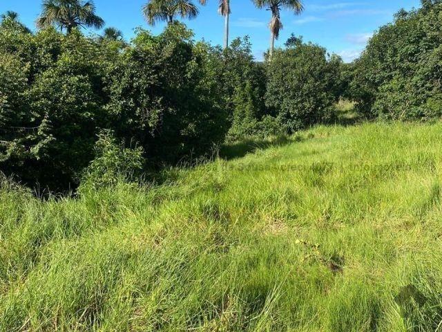 Fazenda venda em Região Geográfica Imediata de Aquidauana - Anastácio, Aquidauana