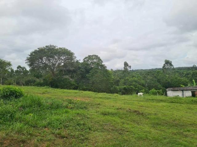 Fazenda venda em Araçás