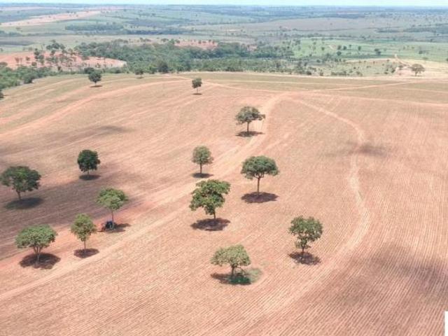 Sítio e chácara venda em Região Imediata de Araçatuba, Araçatuba
