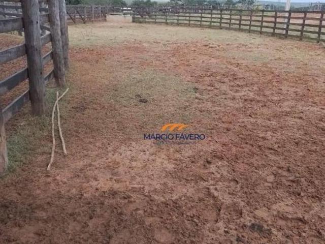 Sítio e chácara venda em Região Imediata de Araçatuba, Araçatuba