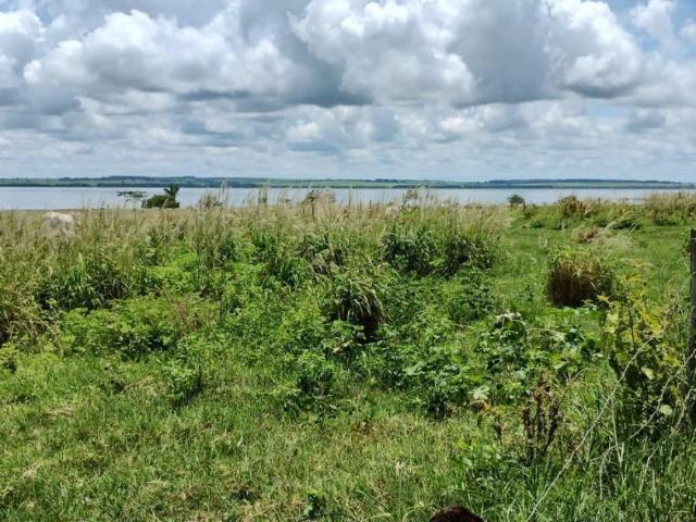 Fazenda venda em Boa Vista, Araçatuba