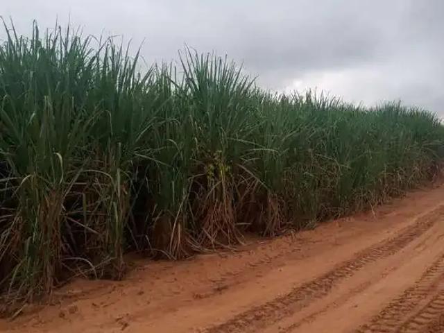 Fazenda venda em Região Imediata de Araçatuba, Araçatuba