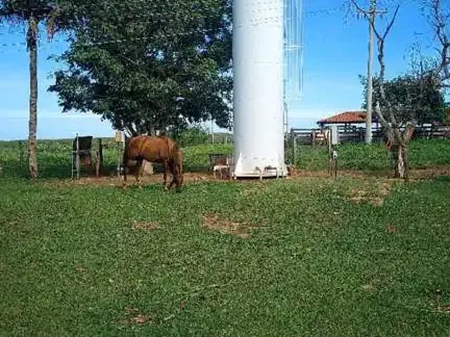 Fazenda venda em Região Imediata de Araçatuba, Araçatuba