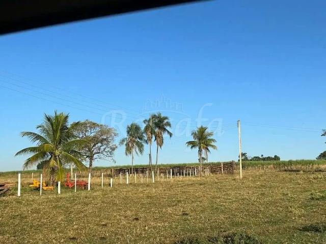 Fazenda venda em Região Imediata de Araçatuba, Araçatuba