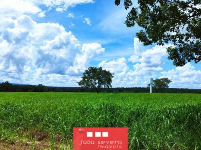 Sítio e chácara venda em Aragarças, Região Geográfica Intermediária de São Luís de Montes Belos-Iporá