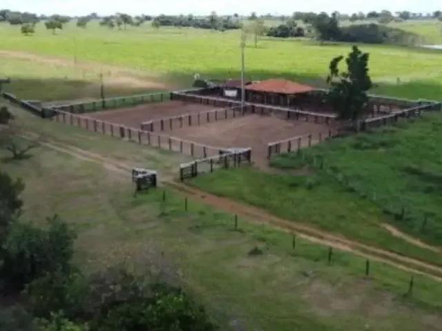 Fazenda venda em Região Geográfica Imediata de Gurupi, Araguaçu