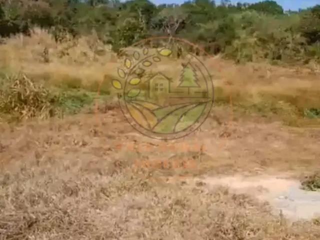 Fazenda venda em Região Geográfica Imediata de Barra do Garças, Araguaiana