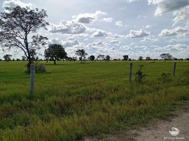 Fazenda venda em Região Geográfica Imediata de Barra do Garças, Araguaiana