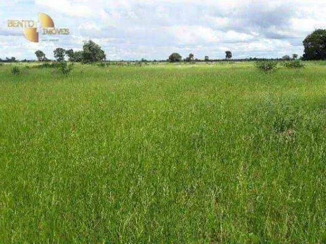 Fazenda venda em Região Geográfica Imediata de Barra do Garças, Araguaiana