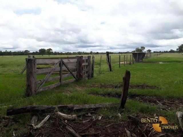 Fazenda venda em Região Geográfica Imediata de Barra do Garças, Araguaiana