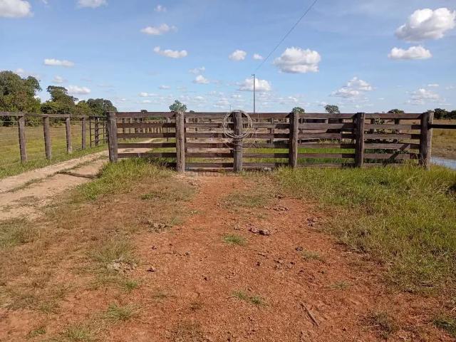 Fazenda venda em Região Geográfica Imediata de Barra do Garças, Araguaiana