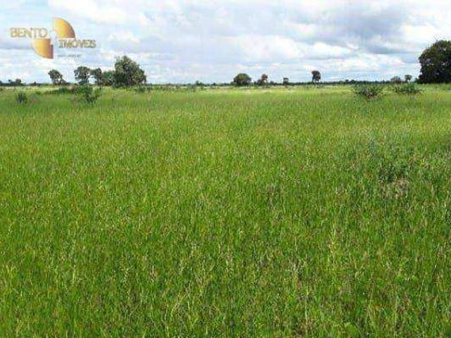 Fazenda venda em Araguaiana, Região Geográfica Intermediária de Barra do Garças