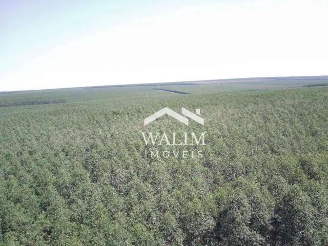 Fazenda venda em Região Geográfica Imediata de Barra do Garças, Araguaiana