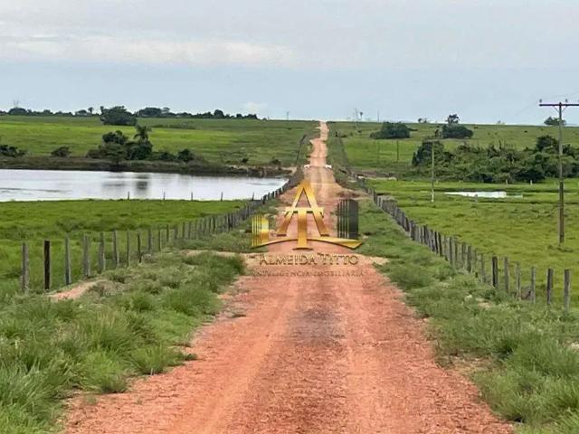 Fazenda venda em Região Geográfica Imediata de Araguaína, Araguaína