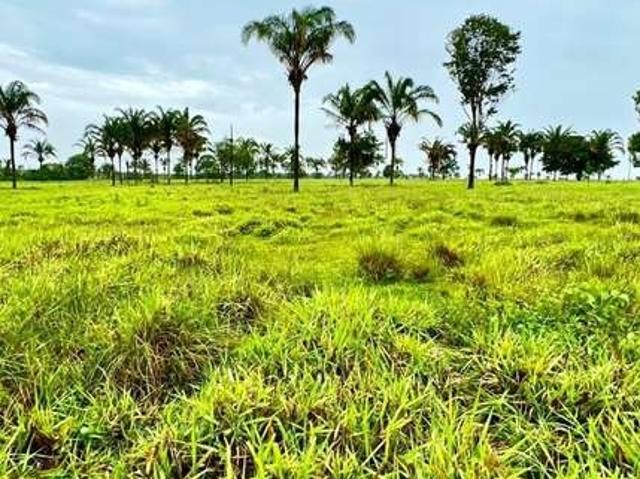 Fazenda venda em Região Geográfica Imediata de Araguaína, Araguaína