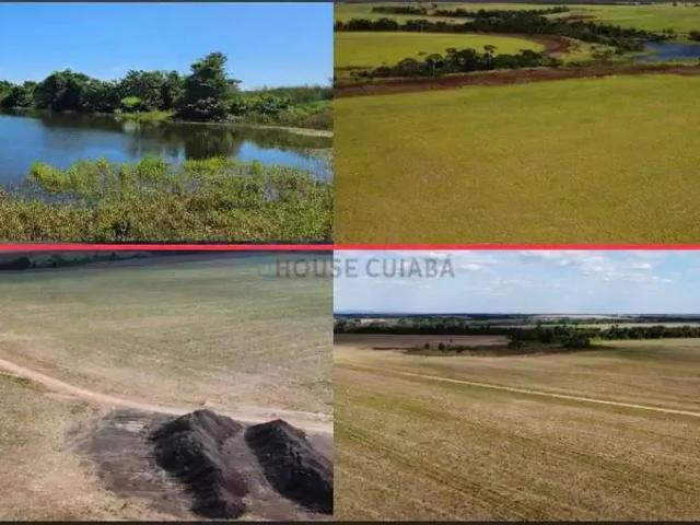 Fazenda venda em Região Geográfica Imediata de Araguaína, Araguaína