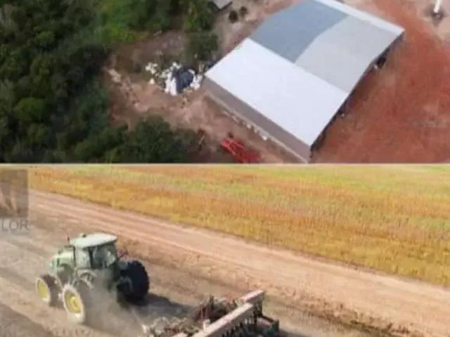 Fazenda venda em Região Geográfica Imediata de Araguaína, Araguaína