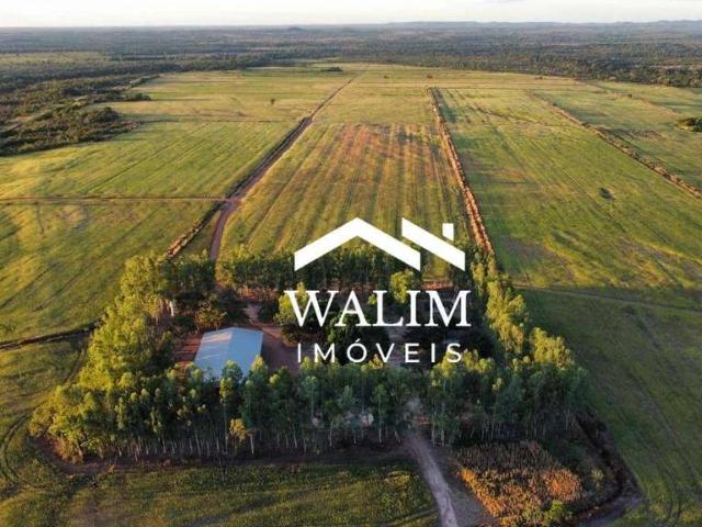 Fazenda venda em Araguaína, Região Geográfica Intermediária de Araguaína