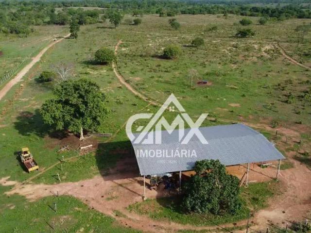 Fazenda venda em Região Geográfica Imediata de Araguaína, Araguaína