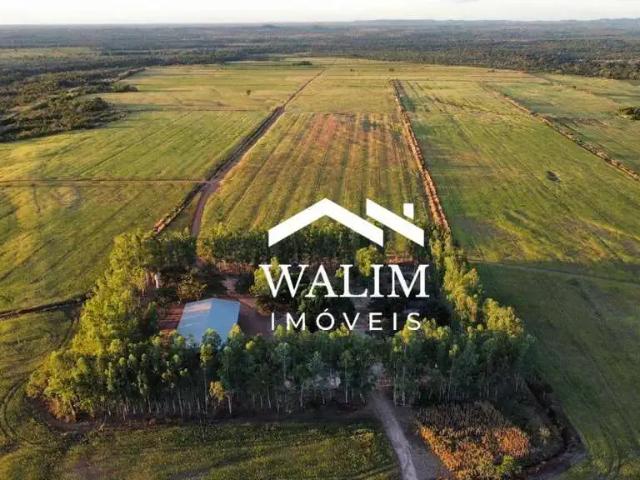 Fazenda venda em Região Geográfica Imediata de Araguaína, Araguaína
