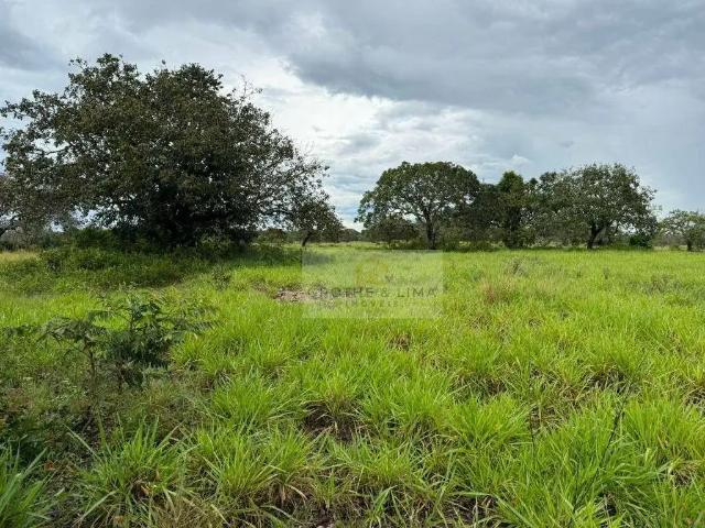Fazenda venda em Região Geográfica Imediata de Araguaína, Araguaína