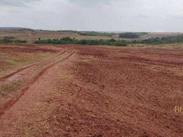 Fazenda venda em Araguaína, Região Geográfica Intermediária de Araguaína