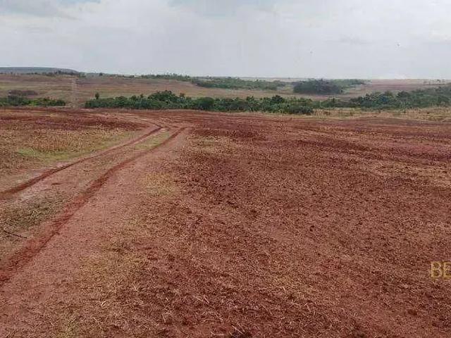 Fazenda venda em Região Geográfica Imediata de Araguaína, Araguaína