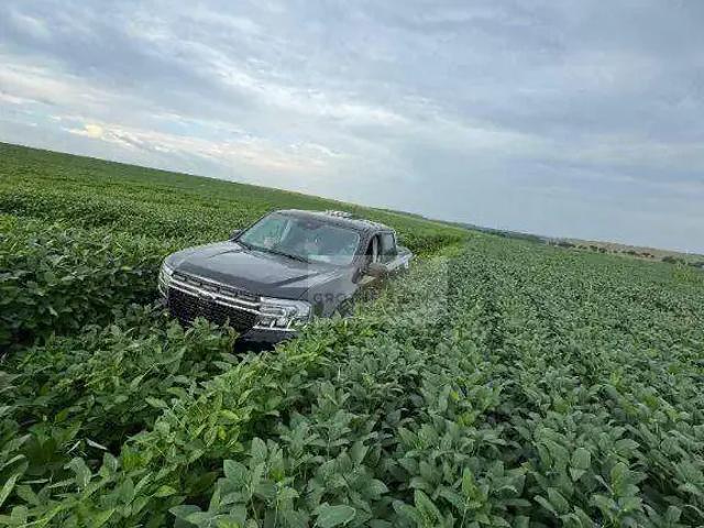 Fazenda venda em Região Geográfica Imediata de Araguaína, Araguaína