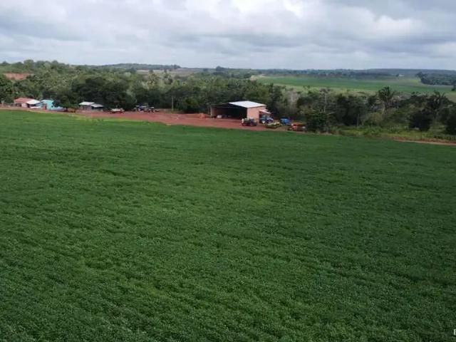 Fazenda venda em Região Geográfica Imediata de Araguaína, Araguaína